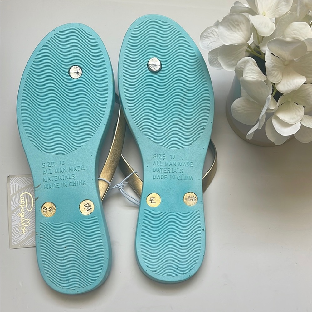 Pappagallo Floral Blue Flip Flops - Picture 5 of 5